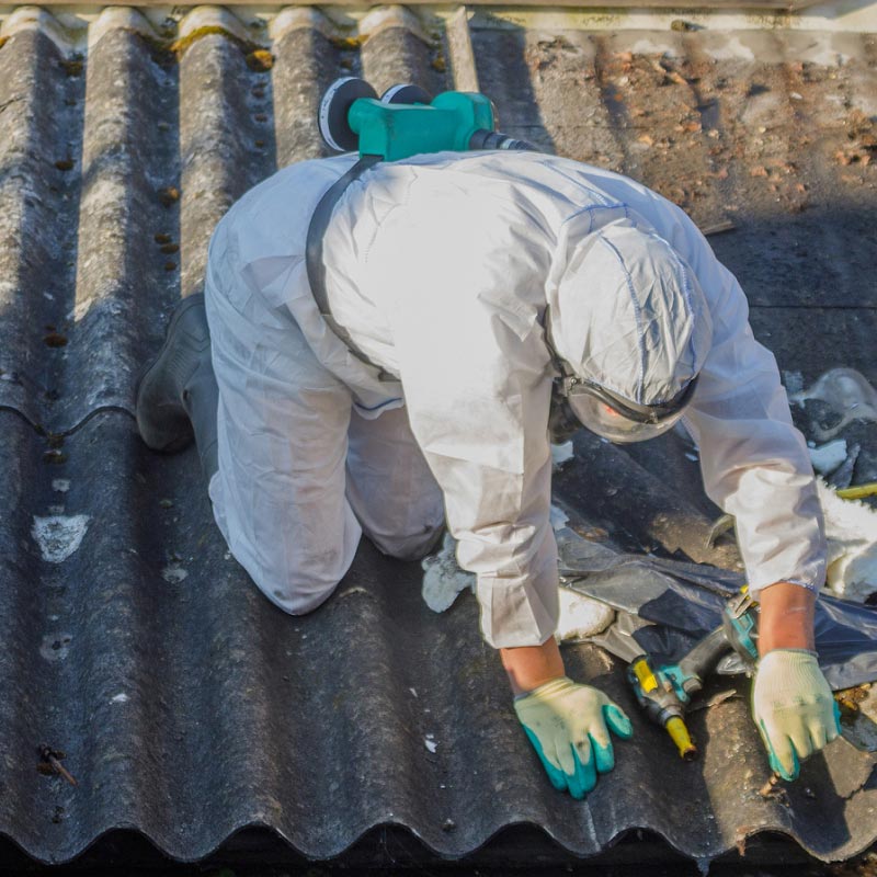 Image for Asbestos Re-Inspections