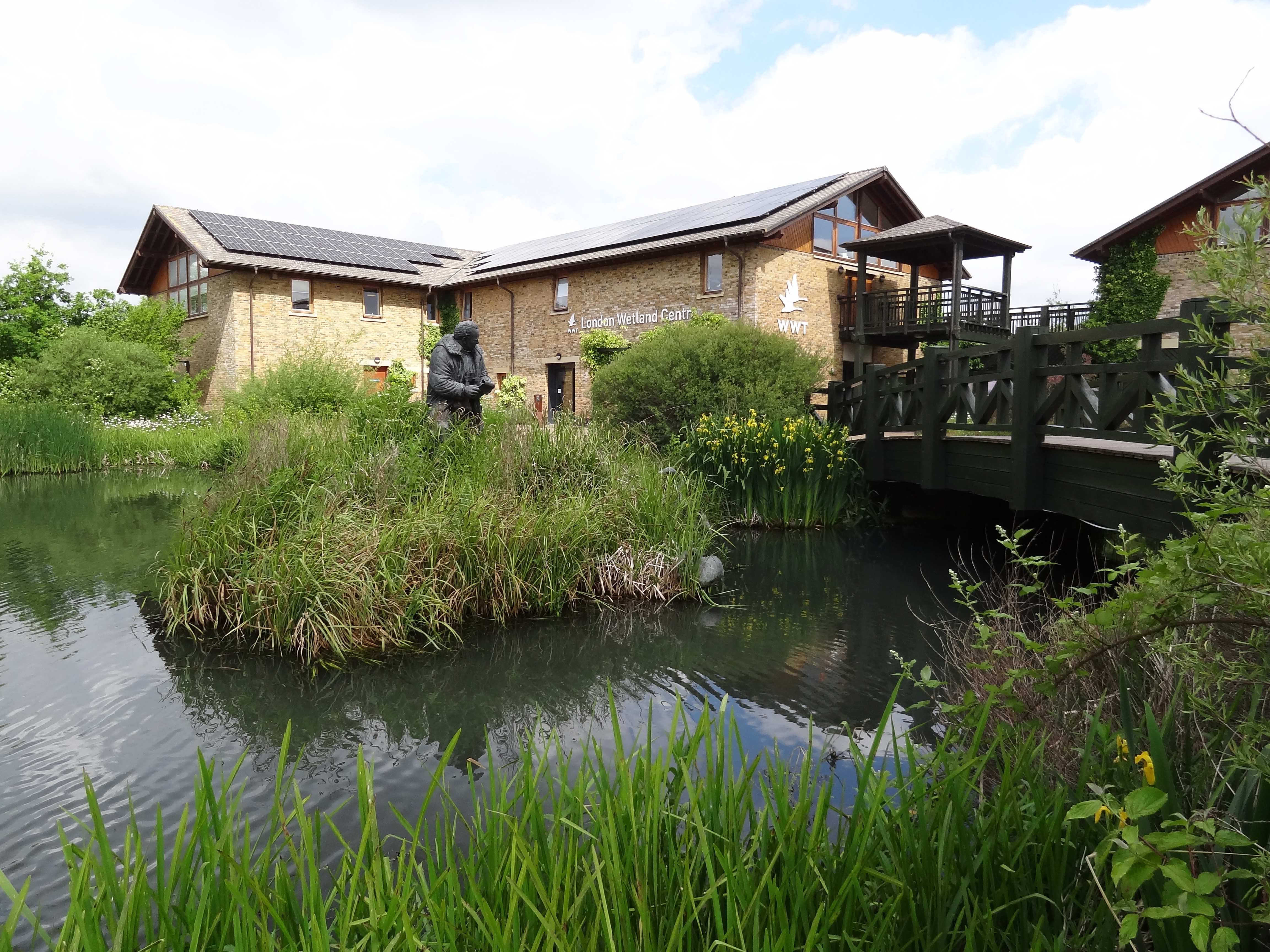 Image for WWT, the charity for wetlands and wildlife